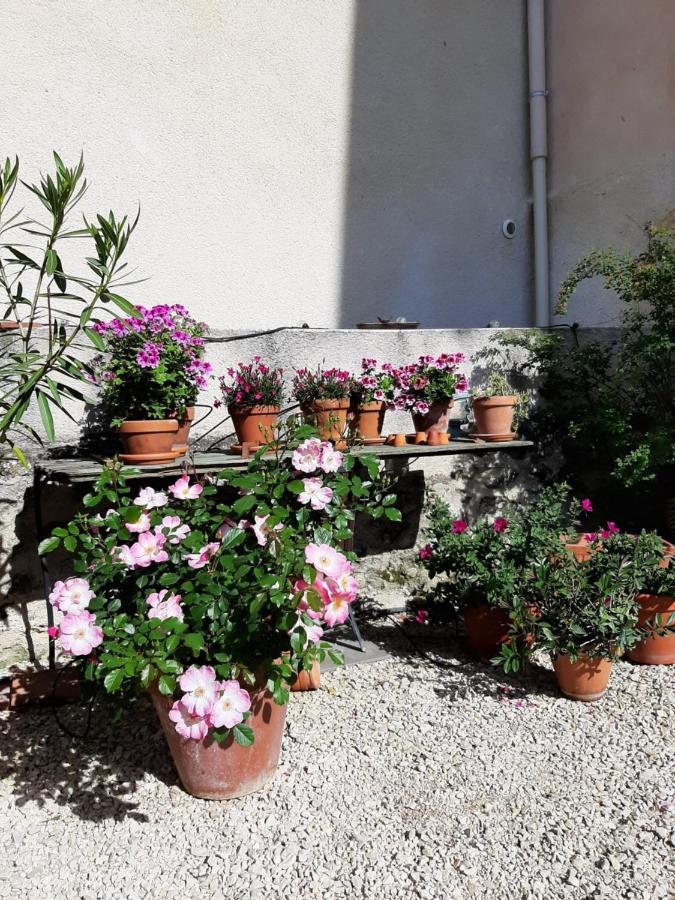 Maison D'Hotes Ventoureso Malemort-du-Comtat Bagian luar foto