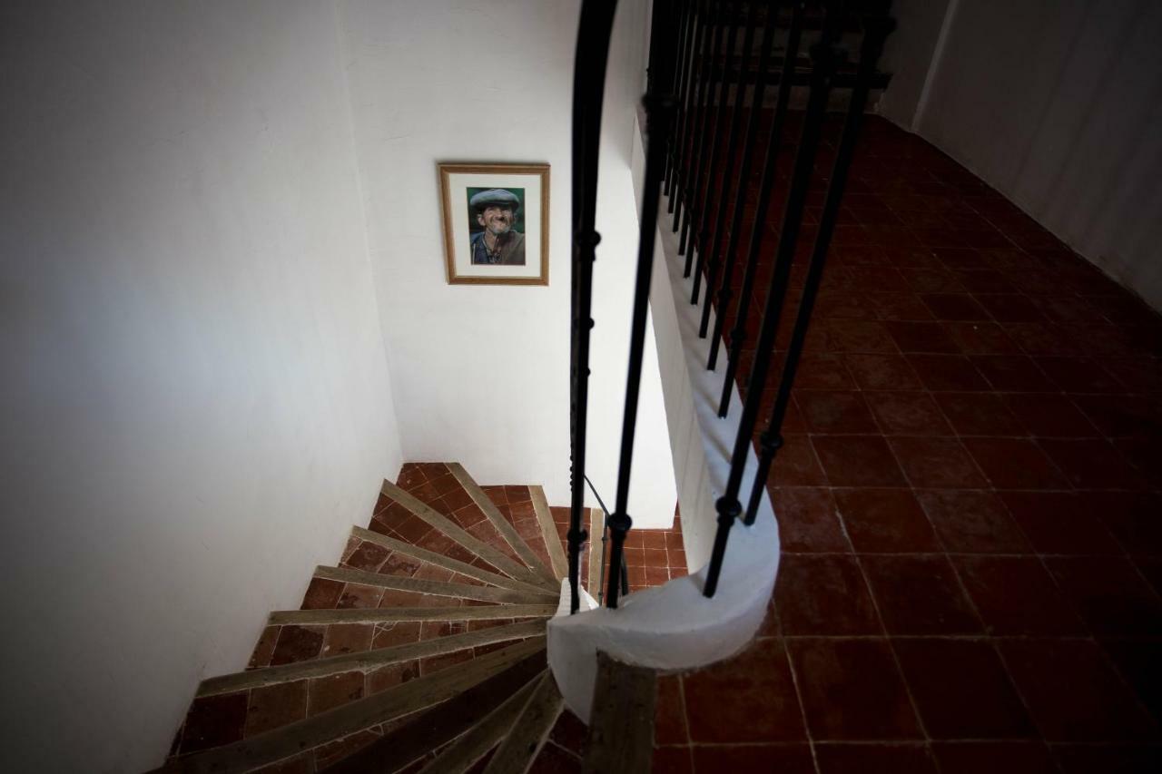 Maison D'Hotes Ventoureso Malemort-du-Comtat Bagian luar foto